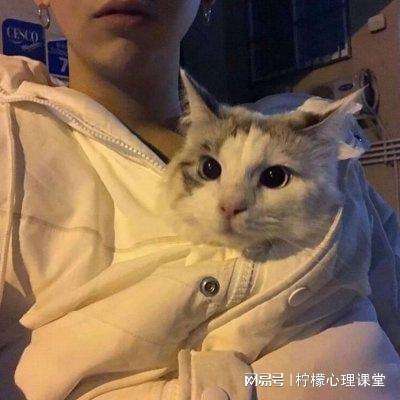 天刀伏魔记bt变态版下载