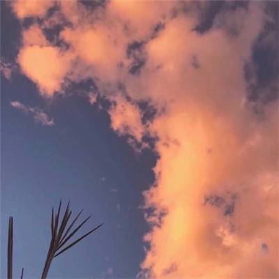 星球毁灭者内购破解版下载