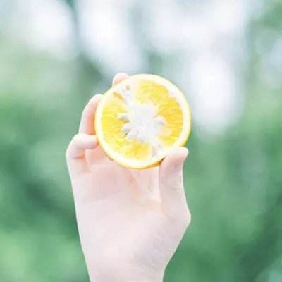 玲珑诀问仙版本下载